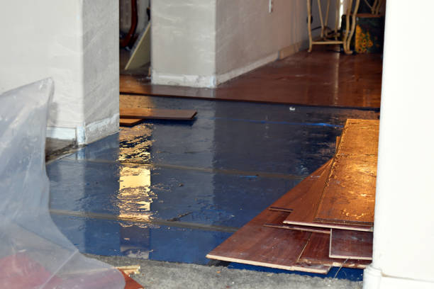 Professional Basement Flood Cleanup technician working in Morrisonville, IL