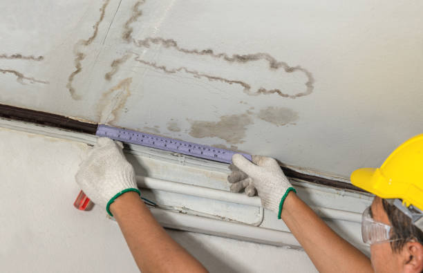 Reliable Basement Flood Cleanup contractor in Morrisonville, IL by Aqua Guard Water Damage